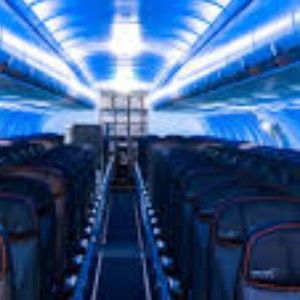 Meet your Posher, Iris